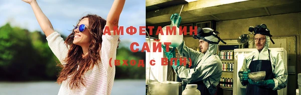 шишки Заводоуковск