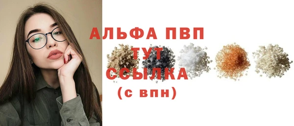 шишки Заводоуковск