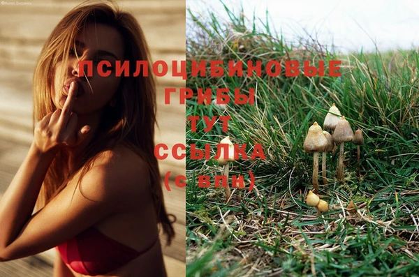мескалин Заволжье